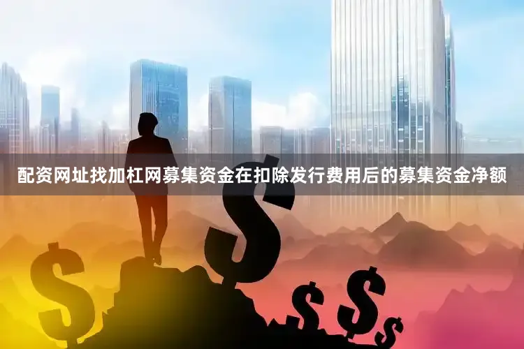 配资网址找加杠网募集资金在扣除发行费用后的募集资金净额