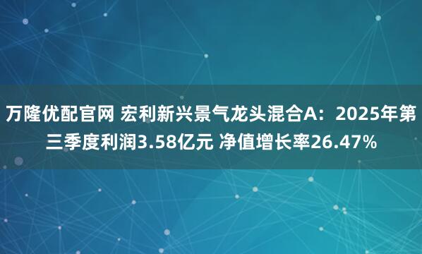 万隆优配官网 宏利新兴景气龙头混合A:2025年第三季度利润3.58亿元 净值增长率26.47%