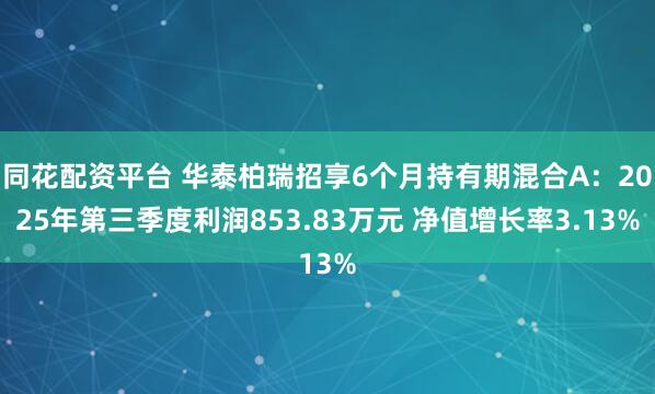 同花配资平台 华泰柏瑞招享6个月持有期混合A：2025年第三季度利润853.83万元 净值增长率3.13%