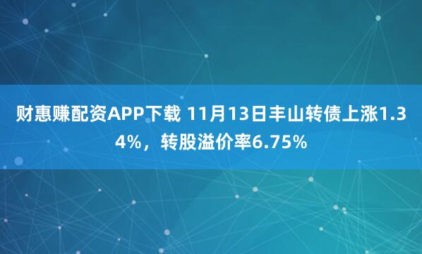 财惠赚配资APP下载 11月13日丰山转债上涨1.34%，转股溢价率6.75%