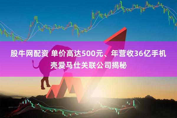 股牛网配资 单价高达500元、年营收36亿手机壳爱马仕关联公司揭秘