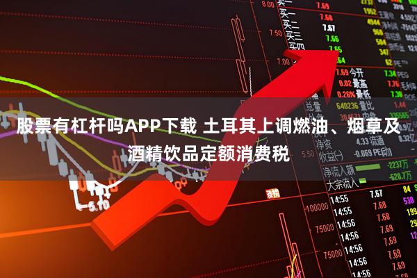 股票有杠杆吗APP下载 土耳其上调燃油、烟草及酒精饮品定额消费税